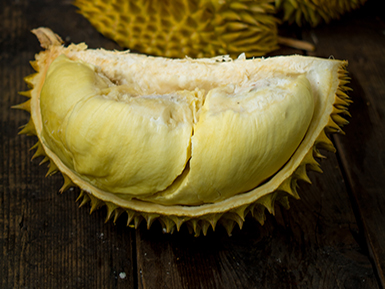 开云网页版登录入口基地展示二